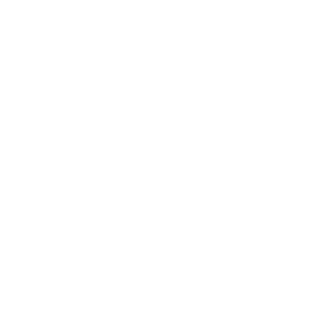 Buyer's Protection Icon