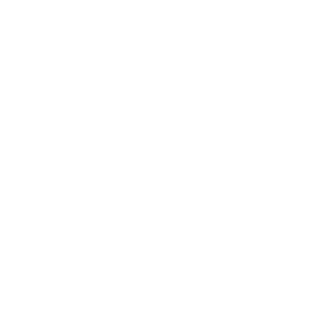 Deals and DIscounts Icon