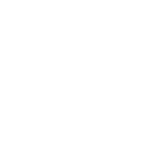 Health Savings Icon
